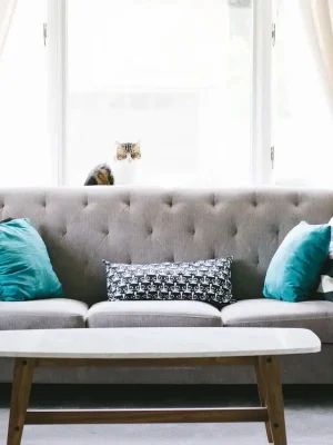 Contactar con empresa de gestión inmobiliaria en Bilbao